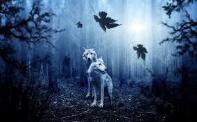 Hd Wallpaper Forest Wolves 4k Tree Animal Plant Animal Themes Mammal Wallpaper Flare Batman, lobo (dc comics), representation, human representation. wallpaperflare