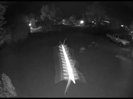 Jul 23, 2014 at 9:42am. Flying Centipede Caught On Video Youtube