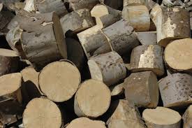 Winter warmth from our seasoned hardwood. Free Firewood Logs Coffee For Honiton Your Local Logs