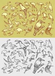 Bird Icons Sketch Bird Drawings Drawings Handdrawn Illustration