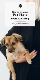 This original pet hair remover comes at a lower price and is a favorite for any environmentalist as it's manufactured from 90% recycled materials. How To Remove Pet Hair From Clothing Fashion Wanderer