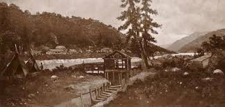 What are some interesting facts about the gold rush? Grade 5 3 Westward Expansion Gold Rush Flashcards Quizlet