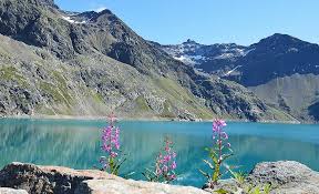 L'autriche présente une diversité topographique incroyable pour sa taille. Kuhtai Reservoir Les Montagnes Alpin Eau L Autriche Paysage La Nature Lac Le Pouvoir De L Eau Pikist