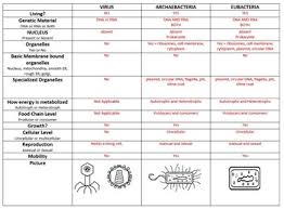 taxonomy classification bundle power point and chart