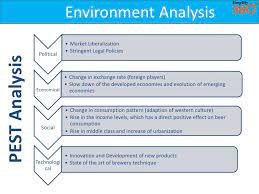 Beer Industry Report
