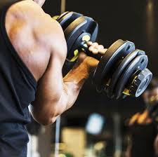 See more ideas about dumbbells, dumbbell, dumbbell set. 11 Best Adjustable Dumbbell Sets For Home Gym Workouts 2021