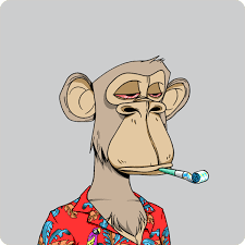 What Is Bored Ape Yacht Club Nft