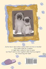 Gizmo & Dash: Bayer, Steve, Franko, Sviatoslav: 9781777691752: Amazon.com:  Books