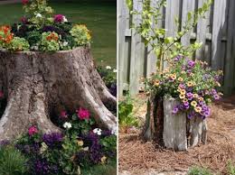 Pin On Landscaping