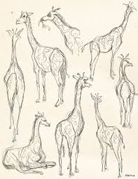 Pin By Karena Nelson On Sketching Animal Sketches Giraffe Drawing Animal Art