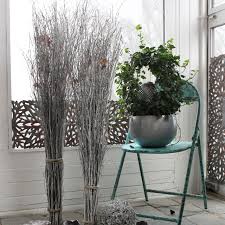 Auch eine optimale dekoration von geschäftsräumen übt auf kunden oder patienten einen beispielsweise sind zahnarztpraxen meistens derart dekoriert, dass sie den patienten eine. Dekobundel Birkenzweige Nova Weiss Balkonerlebnis De