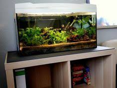 Kallax Regal Als Aquarium Untrschrank In 2020 Aquarium Unterschrank Aquarium Schrank Unterschrank