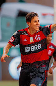 Rodrigo muniz marcou o gol do triunfo. Pedro Guilherme Gol Flamengo Clube De Regatas Flamengo Imagens De Futebol
