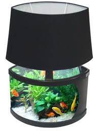 Unique Aquarium Lamp Mix Just Beautiful And Functional Aquarium Lamp Amazing Aquariums Fish Tank