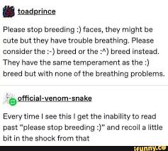 Please Stop Breeding Faces They Might Be Cute But They Have Trouble Breathing Please Considerthe Breed Or The 1 Breed Instead They Have The Same Tem Tumblr Funny Funny