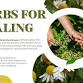 Herbs for Healing event image