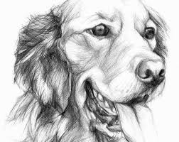 Pin On Realistic Animal Drawings