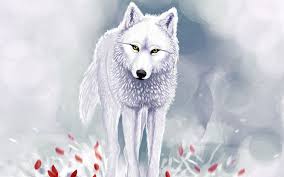 Wolf photographs framed art prints | pixels. Pin By Lyrkanea Wolfen On Anime Wolf Fantasy Wolf Wolf Art Art