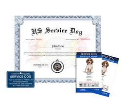 Support dog certification allows you to register your animal as esa and service animal. Register Your Service Dog Online Us Dog Registry Service Dogs Service Dog Registration Dogs Online