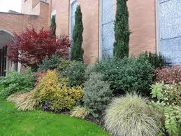 Red Maple Italian Cypress Seattle Italian Landscaping Waterwise Garden Design Yard Landscaping