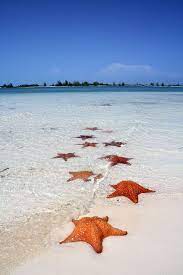 Untitled Cuba Beaches Cuba Travel Going To Cuba