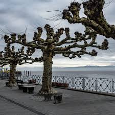 Unterwegs Reiseblog De Dies Ist K Ein Reiseblog Bodensee Germany Schonste Orte Der Welt Reiseblog