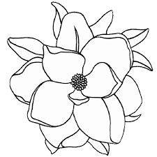 More information on this design. Magnolia Coloring Pages Best Coloring Pages For Kids