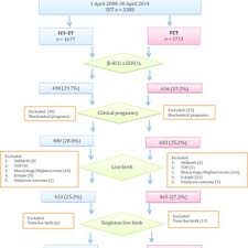 flow chart of set treatment cycles selection for pregnancy