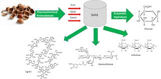 Deq is the approval authority responsible for the following: Effect Of Different Types Of Thermochemical Pretreatment On The Enzymatic Hydrolysis And The Composition Of Hazelnut Shells Springerlink