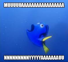 The forgetful dory meme reminds us how stupid we are. Dory Meme By Novastarrskeches On Deviantart