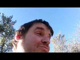 12/5/23: Cleveland National Forest- Pioneer Mail Picnic Area- Mt. Laguna