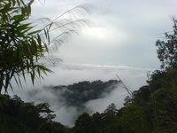 'kitaran air semula jadi' için 10000+ sonuç. T5 Kepentingan Kitaran Air Semula Jadi Science Quizizz