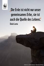 Zitat Zum Sonntag Weisheiten Zitate Zitate Leben