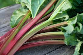 ルバーブの効能や栄養 副作用もある 葉には毒があるの Horti ホルティ By Greensnap