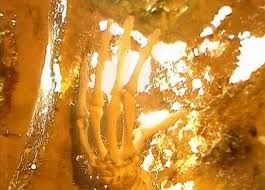 Image result for doctor who ogri