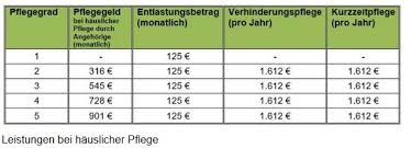 Der seniorengerechte umbau eines bades kann von der pflegekasse mit bis zu 4000 euro bezuschusst werden. Anderungen In Der Pflegeversicherung Ab 01 01 2017 Kinderpflegenetzwerk