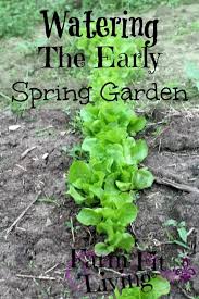 Welcome to the famous dave's garden website. Watering The Early Spring Garden Farm Fit Living