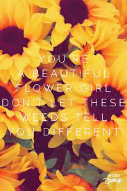 Pin On Beautiful Wallpapers