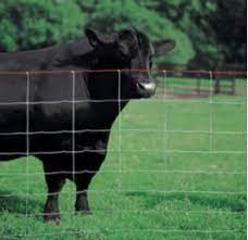 Alibaba.com offers 1,703 black horse fence products. Redbrand Horse And Stock Fencing 50 Mt Rolls Wire Shop Uk