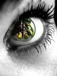 Pin By Ugur Dincsalman On Insan Taki Photos Of Eyes Crazy Eyes Eye Art