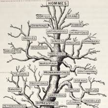 Maybe you would like to learn more about one of these? Only Two Domains Not Three Changing Views On The Tree Of Life Microbiology Society