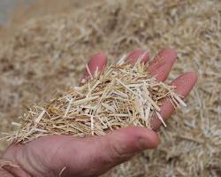 TSP Biomass switchgrass animal bedding product photo, AI generated