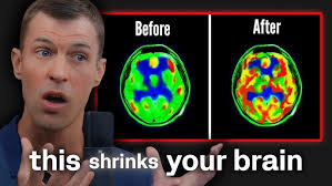 Scientific Journeys ~ Dr. Matthew Lucy