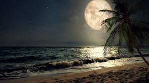 In this app new and trending moon wallpaper for android mobile. Beautiful Fantasy Tropical Beach With Milky Way Star In Night Skies Full Moon Wallpaper In 1536x864 Resolution