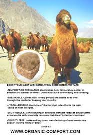 I would prefer a method that does not involve opening a window (crafting, terminal, etc) to refill the camel pack. Camel Wool Comforters