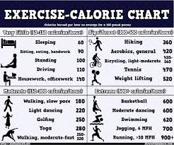 calories burned during exercise chart