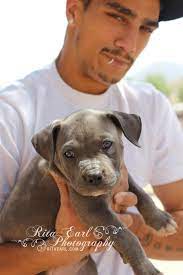 Pin On Cute Pictures