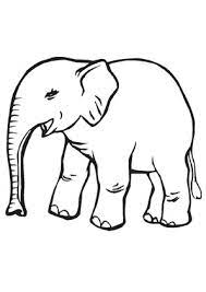 Check spelling or type a new query. 68 Ausmalbilder Elefanten Ideen Ausmalen Elefant Ausmalbilder