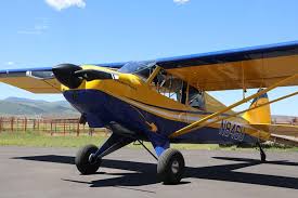 Image result for True Blue 2013 200