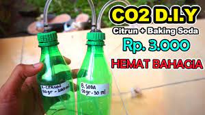 Cara membuat aquascape untuk pemula. Cuma Rp 3 000 Cara Sederhana Membuat Co2 Diy Aquascape Citrum Backing Soda Youtube